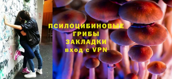 соль ск Горнозаводск