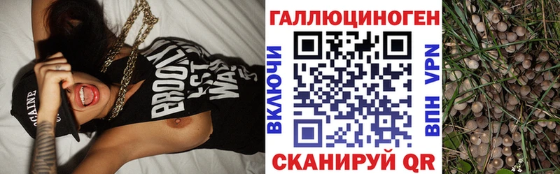 цена   ОМГ ОМГ сайт  Галлюциногенные грибы мухоморы  Зеленокумск 